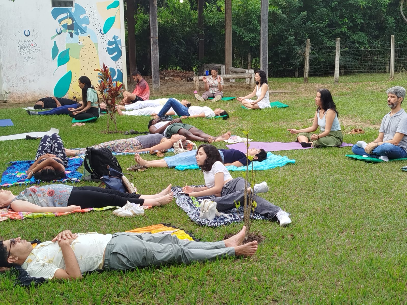 Meditação Coletiva